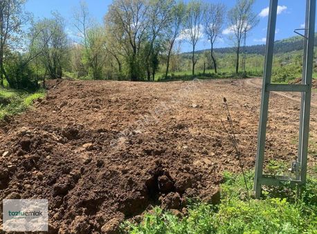 Tozluemlak'tan Çatalçamda Resmi Yola Cephe 884m2 Orman İçinde !