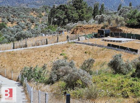 Kemalpaşa Aşağı Kızılca'da 1238 M2 Satılık Paylı Mülkiyet Bağ