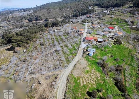 İzmir Selçuk Kireççili Köyünde Manzaralı İncir Bahcesi 1640 M2