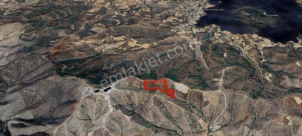 Gökçeören Mahallesi'nde 46 Dönüm Satılık Ceviz Ve Badem Tarlası