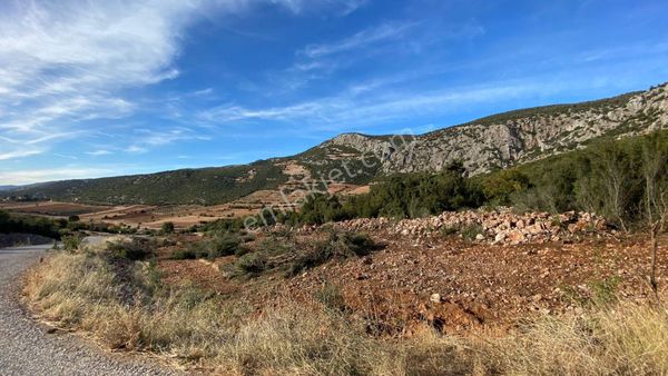 Bakan Gayrimenkulden Yatırımlık Beyağaç Kapuzda Tarla