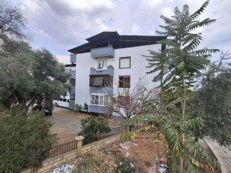 Nazilli Alkan Gayrimenkul Den Satılık