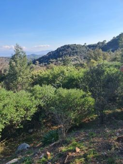 Fethiye İnlice'de Doğa Manzaralı 15.000 M² Müstakil Arazi Satılık