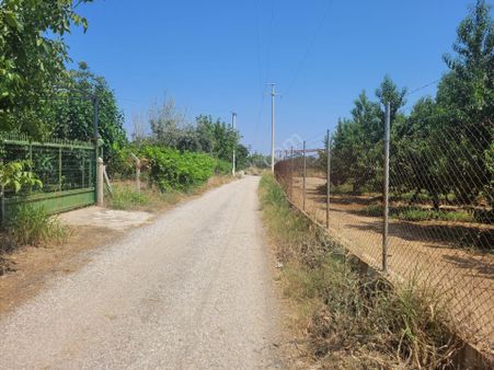 İzmir Kemalpaşa Satılık Tarla