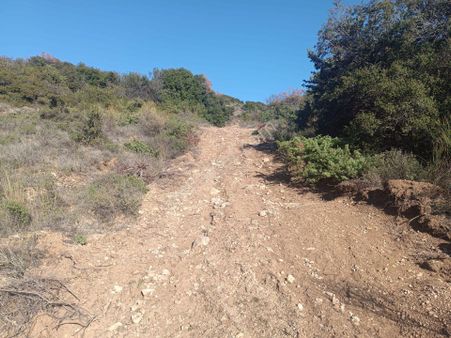 Tekirdağ Şarköy Çengelli Mah.satılık Kadastral Yola Sıfır Zeytinlik