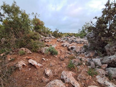 465 M² Orhan Köy Yerimiz Satılıktır