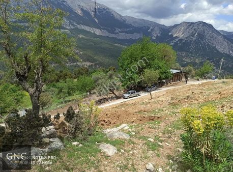 Hisarçandır Da İçinde Konteyner Ev Bulunan Satılık Tarla
