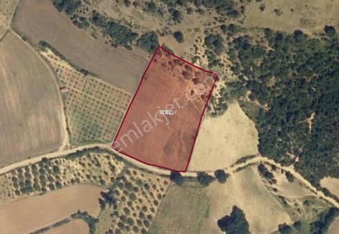 Bursa Yenişehir Kızılhisar'da Satılık 9.645 M² Fırsat Tarla!