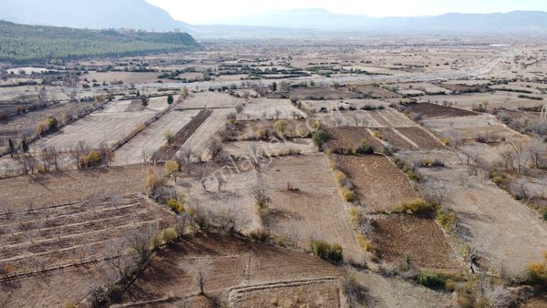 Acıpayam Dodurga Mahallesinde Tepe Group'dan Satılık Tarla