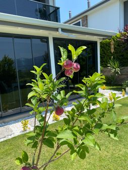 🌿 Hem Yaşam Hem Yatırım İçin Akıllı Seçim – 3+1 Bahçeli Villa