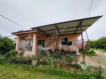 Muğla Köyceğiz Kavakarasında 6.650 M² Verimli Arazide Köy Evi Ve Çiftlik Satılık