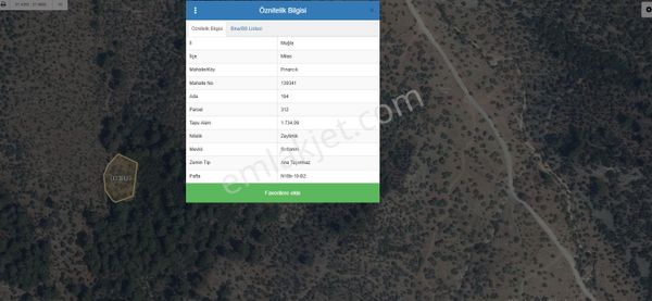 Bafa Pınarcıkta Köye Yakın 1700 M2 Zeytinlik
