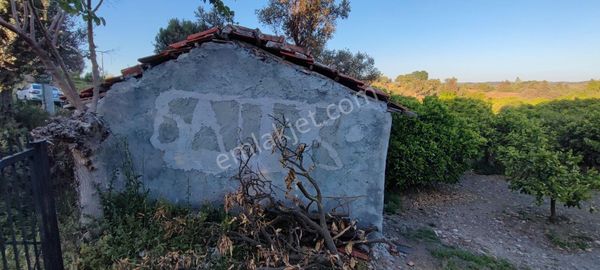 Seferihisar Turyap'tan Sıgacıkta 8612 M Narenciye Bahçesi