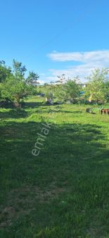 Edirne Havsa'da Satılık İmarlı Fırsat Arsa...