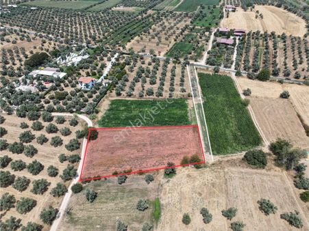 Milas Menteş Yolunda Fırsat Yatırım Arazisi - Pehlevanlar'dan