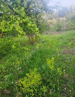 Kadınrada Uygun Tarla Fındıklık Elektırık Su Var Yol Var