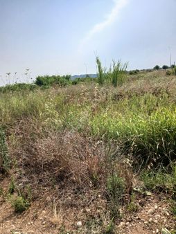 D400karayolona 800 Mt. Denize ¹200 Mt.tekvtapu Sera Çiftlik Yeri