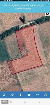 Bostandere De Satılık Yol Elektirik İmkanlı Bahçe