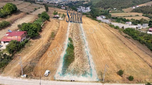 🏡 Satılık Tarla – Sarışık Mahallesi / Atakum / Samsun