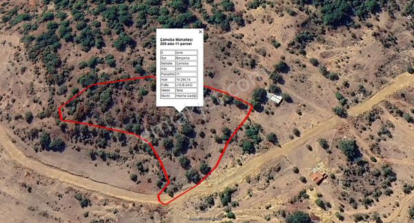 Komutanemlak'dan Çamoba Yaylasında 10 Dekar Tarla