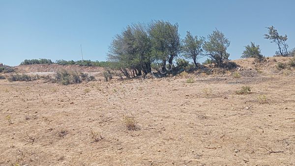 Komutanemlak'dan Çamoba Yaylasında 1910 M2 Tarla