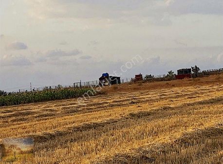 Istanbul Silivri Değirmenköy Sahibinden Satılık 330m2 Arsa