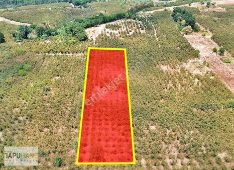 Tapuhane'den Kazimiye Mahallesindeki 4,658 M2 Arsamız Satılıktır