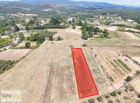 Sakara , Hendek , Şeyhler Köyünde 976 M2 Arsa