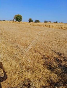 Aşağıoba Mah.anayola Yakın Tek Tapu Tarla