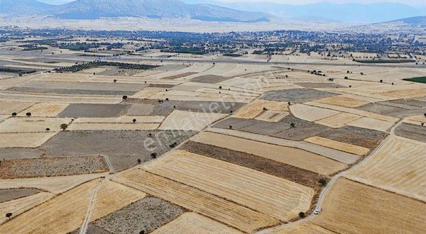 Fırsat!!!kadastro Yolu Var 8.000m2 Ana Yola Yakın Satılık Tarla