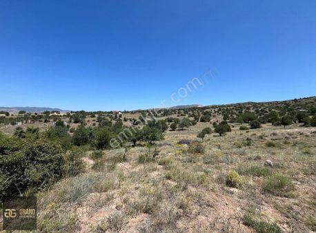 ''5.850 M²'' Kahramankazan Sancar Da Tek Ve Kök Tapu Satılık Bağ