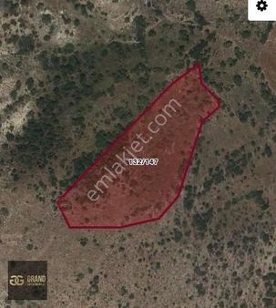 '' 4707 M² '' Çubuk Sığırlıhacı Da Tek Ve Kök Tapu Satılık Bağ!!