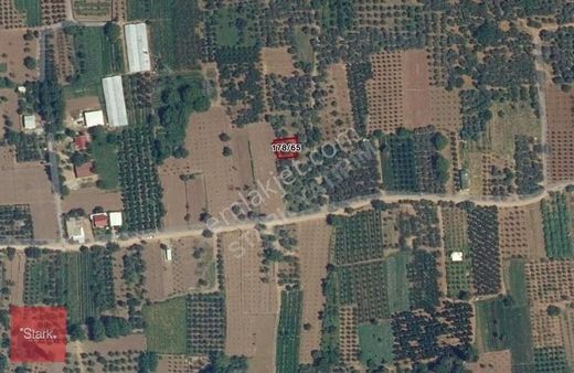 Bursa İznik Boyalıcı Satılık Zeytinlik