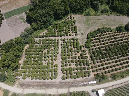 Rota'dan Toparlar'da Satılık Rızai Taksimli 500m² Parseller