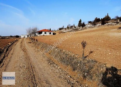 Bakan Gm'den Pamukkale Kurtluca'da Satılık Kuyulu Tarla