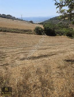 Bursa Mudanya Söğütpınar Da Satılık Tarla