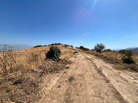 Tire Satılık Tarla Yeğenli Köyü 26.000 M2 Tek Tapu