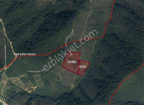 Yatırım Fırsatı - Giresun/bulancak Küçükdere Köyünde 30 Dönüm Satılık Fındık Bahçesi