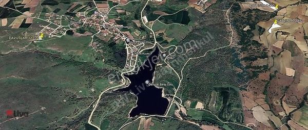 Rw Liva'dan Çaypınar Mahallesinden Yatırımlık Tarla