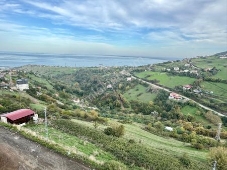 Evim-nur'dan Hasköy Mh. 2+1 Deniz Manzaralı Üniversiteye Yakın Sıfır Fırsat Daireler