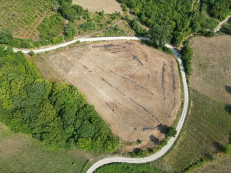 Sinop,balıfakı'da 8 Dönüm Satılık Tarla