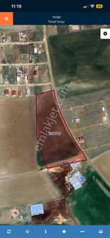 Ankara Ayaş Göklerde Tek Tapu Çiflik Yapmaya Uygun Yedi Dönüm Tarla Acil Satılık