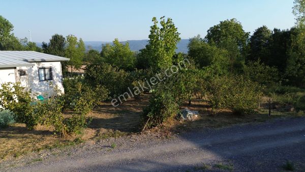 Fırsat !!! Düzce Sallar'da 3 Kat İmarlı 665 M² Satılık Arsa