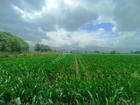 Salihli Erdem Emlaktan Keli'de Satılık Yatırımlık İmara Yakın Tarla