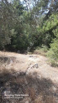 İnlicede 1120 M2 Yer