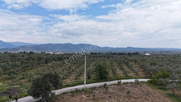 Torbalı Sahipler Satılık Arazi