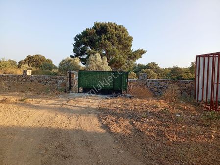 Urla Rüstem De Satılık 3 Dönüm Yatırımlık Tarla