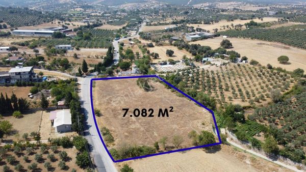 Menderes Dereköy'de 7082 M2 Yatırımlık Tek Tapulu Tarla