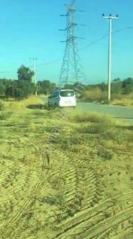 🌳 Germencik Ömerbeyli İncir Bahçesi