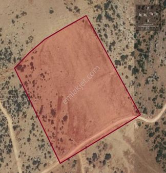 Kirlialıcı Da 22 Dönüm Tek Tapu Çok Uygun Tarla